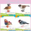 Realistic Decorative Animal Model Set Featuring Colorful Duck Sparrow Finch And Tit For Home And Office Display