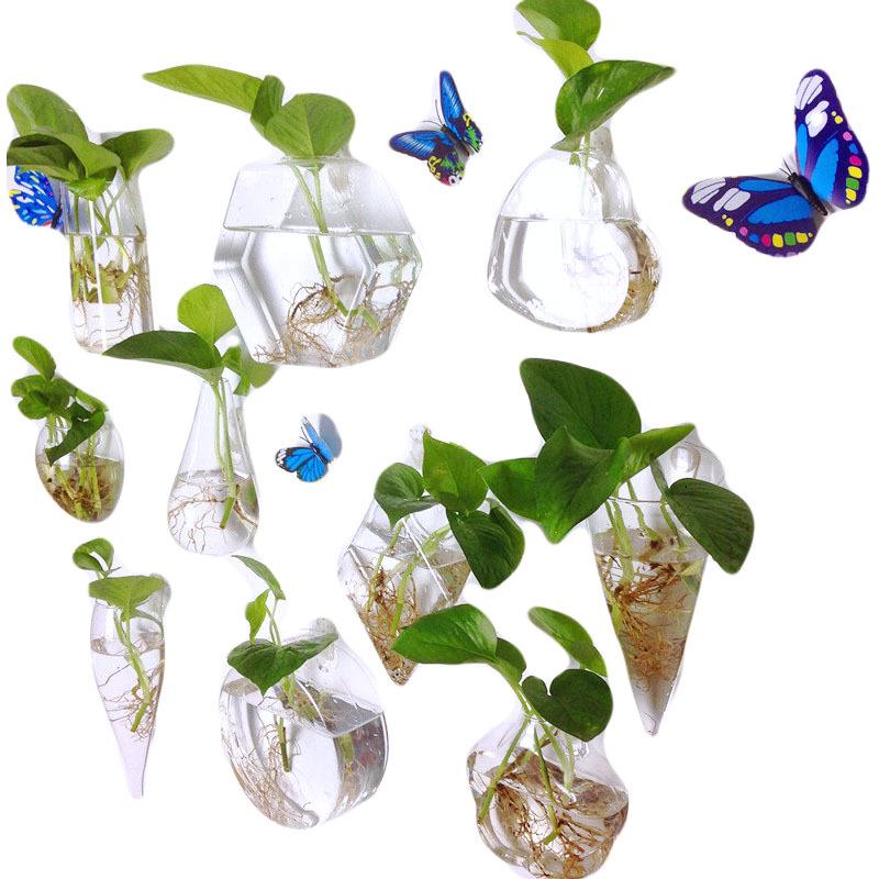 Creative Wall-Mounted Transparent Glass Vase for Plants and Fish