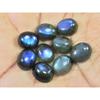 10X12MM Natural Labradorite Blue Fire Oval Cabochon Loose Gemstone 09Pcs Lot C-1052