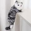Realistic Hanging Cat Ornament for Home Decoration