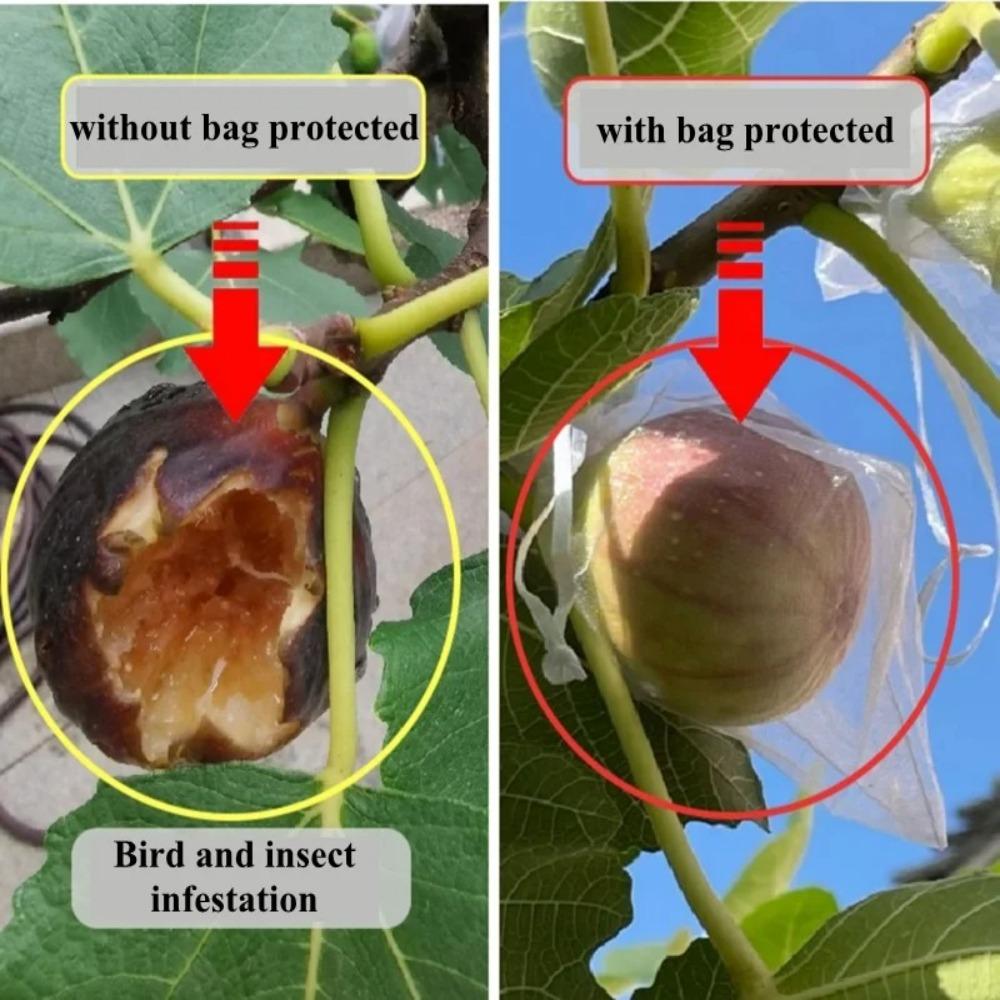 100 Stück Netz Trauben Frucht Anzuchtsäcke Weißer Traubenschutzbezug zur Schädlingsbekämpfung Vogelschutz