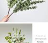 Artificial Eucalyptus Leaves for Floral Arrangements and Landscaping