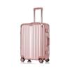 DREAMGIFT Aluminum-Frame Business Spinner Suitcase