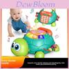 Baby Turtle Educational Toy With Music And Voice For Crawling And Learning Development