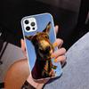 Funny Donkey Phone Case For iPhone 13 12 Mini 11 Pro Max XS XR X SE 7 8 Plus 5S 5 6S 6 Gift Print Cover Fundas