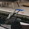Animal Swimming Saving Escape Ramp Animal Escape Ramp Animal Rescue Ladder Frog Bird Chipmunk Swimming Pool Escape Net