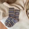 Ladies Autumn and Winter Warm Cartoon Embroidery Lovely Tube Pile Socks