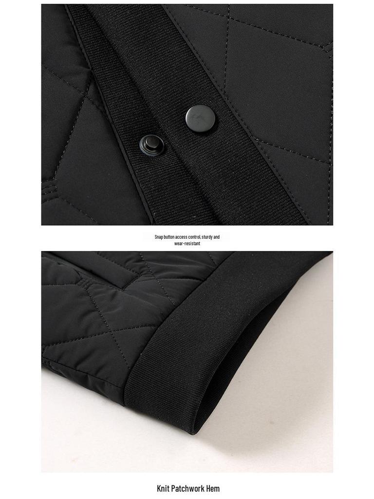 Men's Winter Ribbed Collar Cotton Mulberry Silk Jacket - Business Casual Outerwear