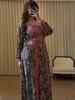 Spring 2026 European & American Printed Fashion Loose Women's Long-Sleeve Dress