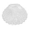 Transparente Muschelform Schmuck Halskette Armband Aufbewahrungs Organizer Box Etui
