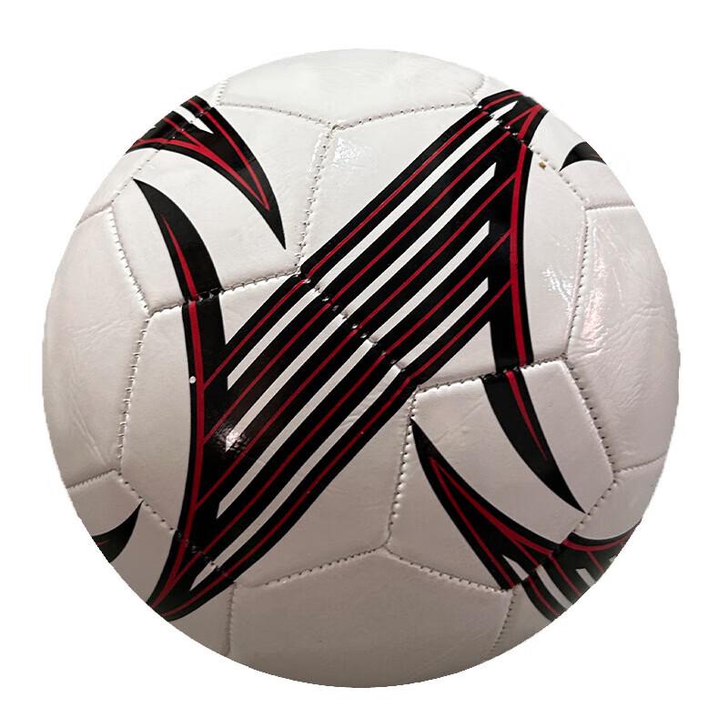 Pure Sen No. 5 PVC Training Football