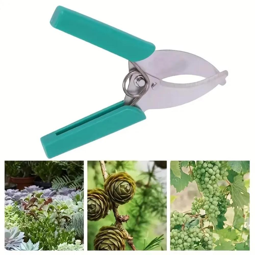 1pc Gardening Fruit Tree Girdling Knife Girdling Shears Seedling Grape Girdling Knife Bark Cutter Garden Orchard Citrus Girdling