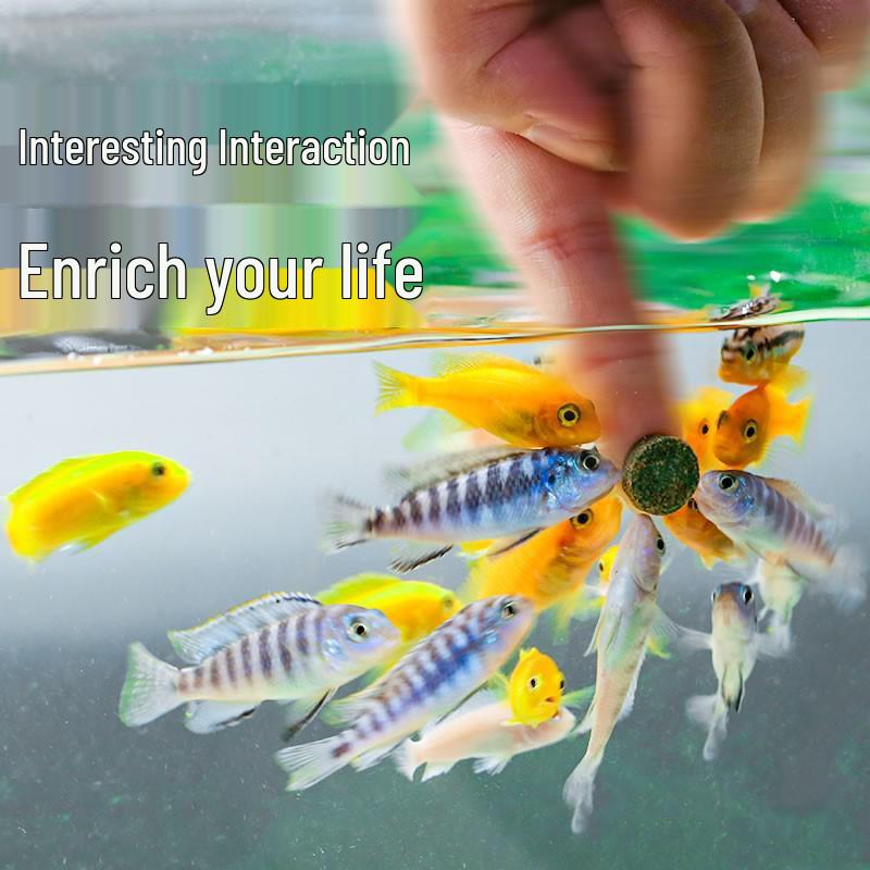 Color-Enhancing Tropical Fish Food Patch for Small Schooling Fish