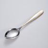 Stainless Steel Feather Pattern Spoon & Fork Set for Western Food
