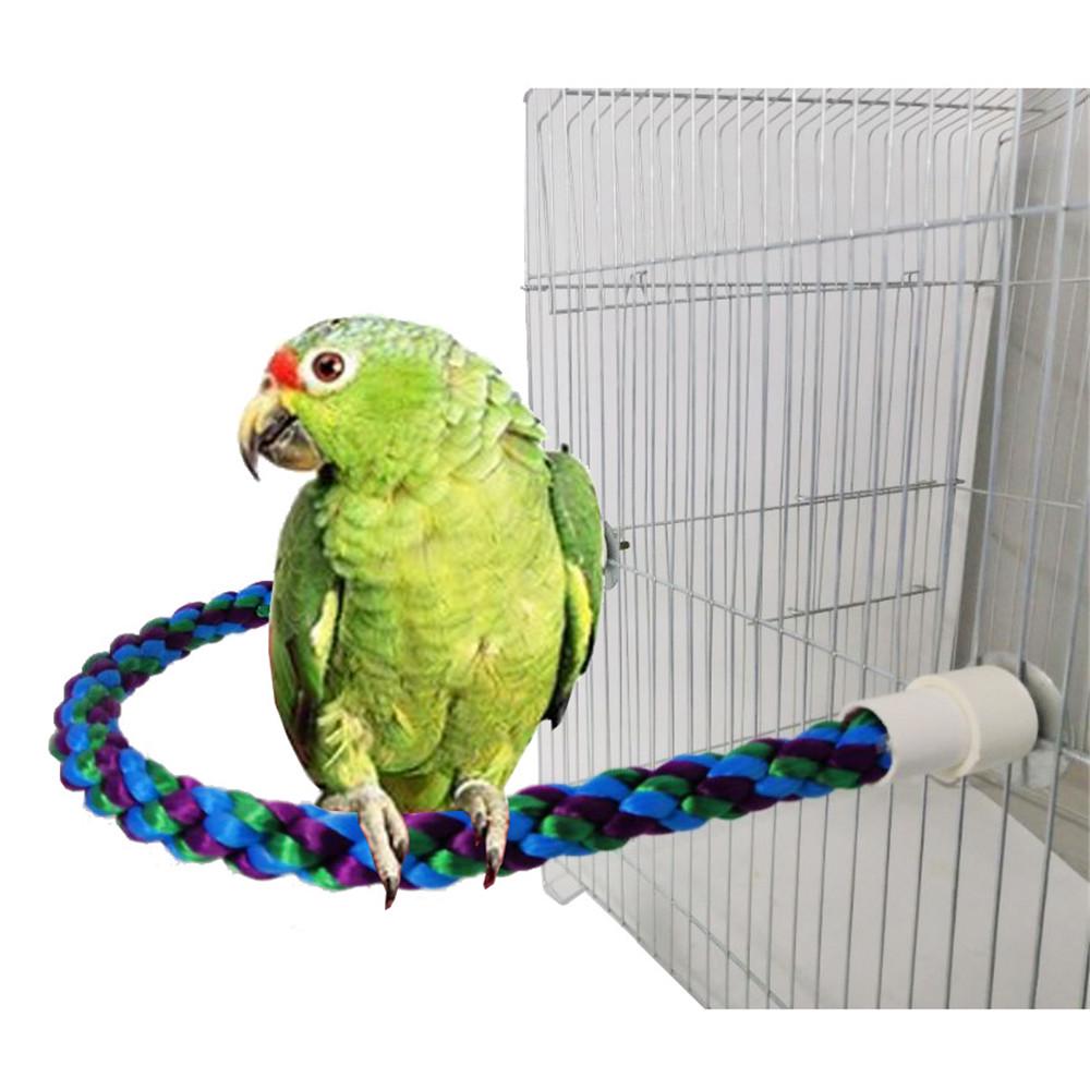 parrot rope