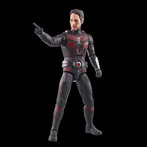 Hasbro Marvel Legends Series Ant-Man, Ant-Man and the Wasp: Quantumania 6-inch (15cm) Action Figure, Ages 4 and Up, F6573, Authentic