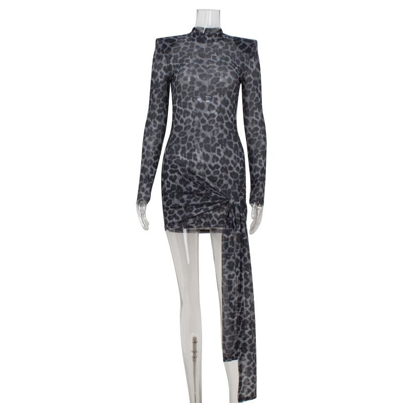 

Outfitgir7 Leopard Print Printed Mesh See-through Dress Sexy Sexy Slim-Fit Nightclub Slimming Hip Skirt Gray leopard print S