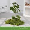 Luxury Faux Green Plant and Flower Decor - Indoor Moss and Grass Clusters for Elegant Landscaping.