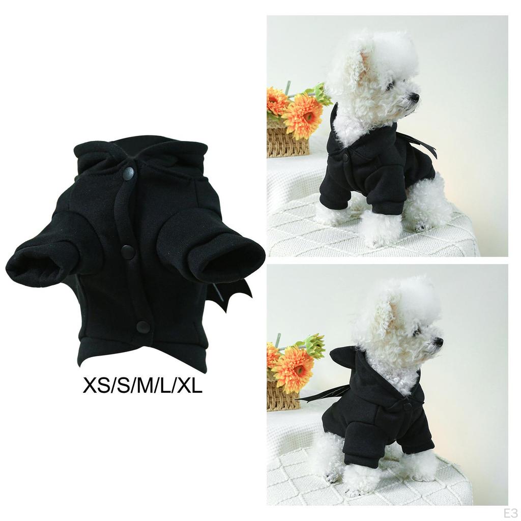 Festive Pet Attire for Halloween and Year Celebrations