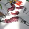Creative Octopus and Squid Claw Key Chain Multifunctional Keychain Bag Pendant Accessory for Keys and Phone Decoration