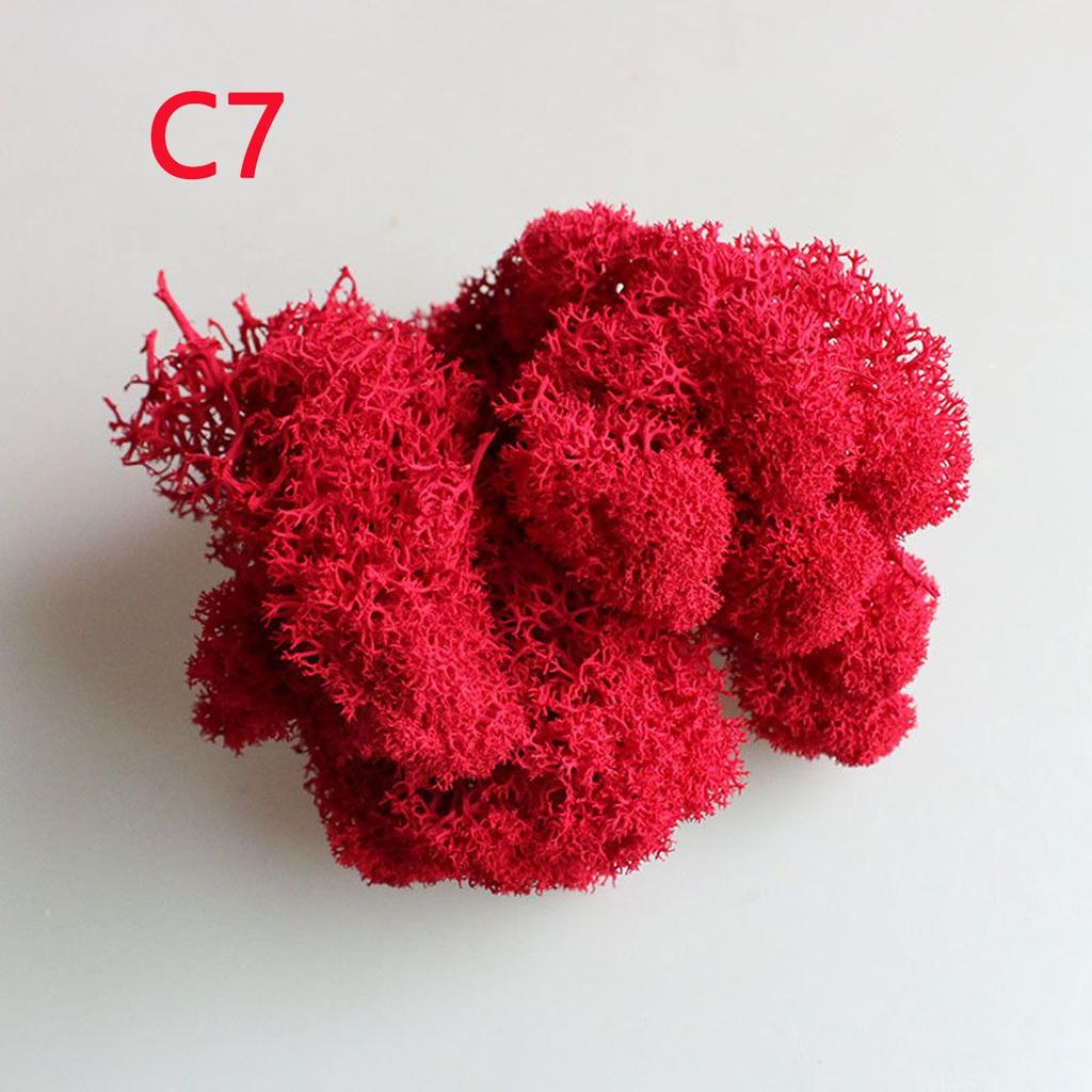 Colorful DIY Wedding Flower Home Decor Christmas Artificial plant Micro Landscape Eternal Life Moss Reindeer Moss