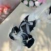 Pet Summer Mesh Strap Yorkshire Small Dog Lace Pet Cool Thin Dress Dog Dresses for Small Dogs Puppy Clothes