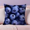 Fresh Food Anime Health Pillow Case Anti-dustmite Pillowcase Invisible zipper silky short plush Sofa cushion cover