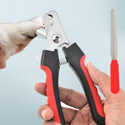 Kedi – Kedi bakım ürünleri