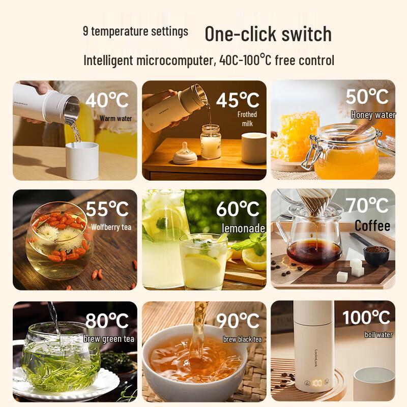 LOCK&LOCK Portable Electric Heating Travel Kettle