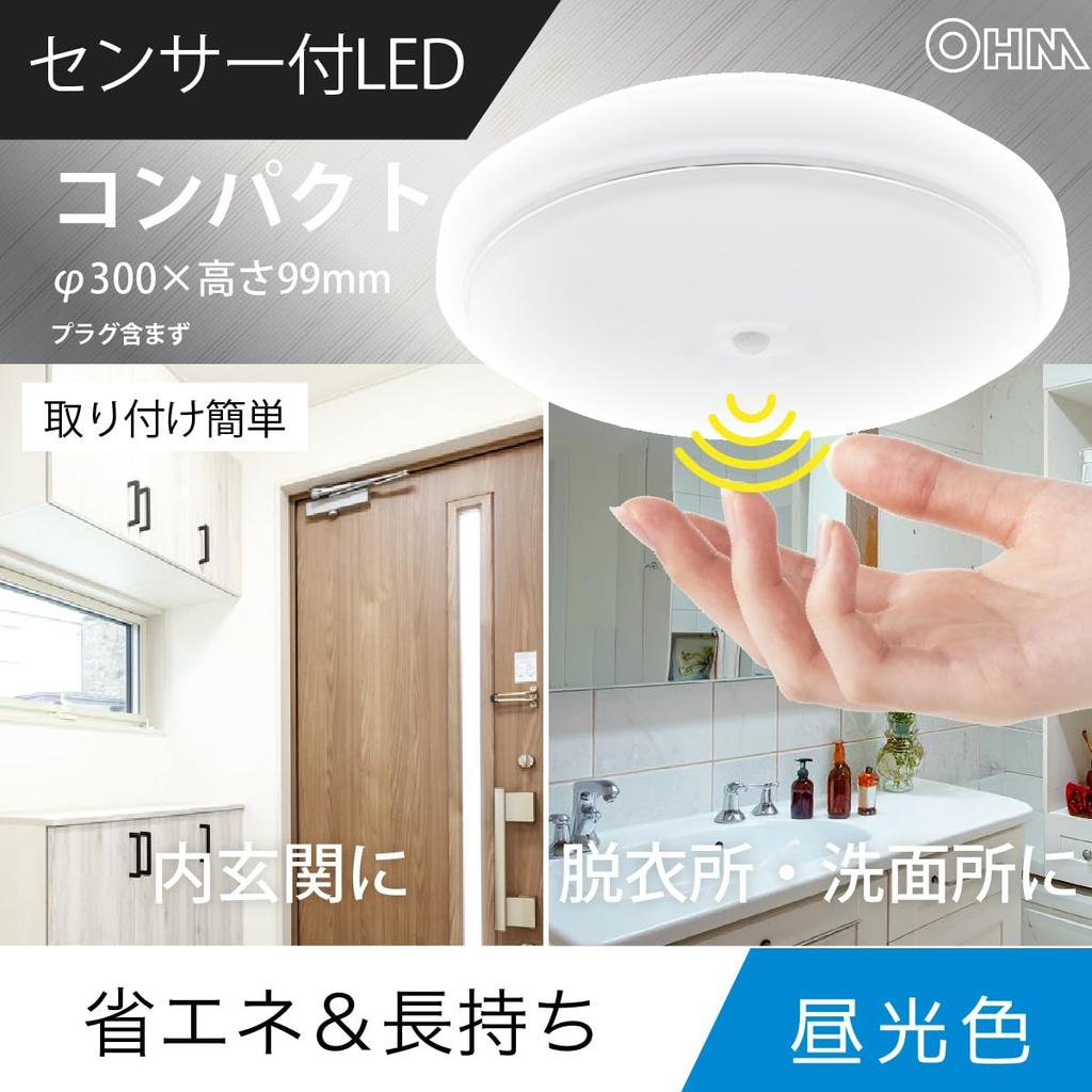 OHM LED Interior Entrance Light, Daylight | OHM Electric LT-Y18D-GB-PIR 06-5570