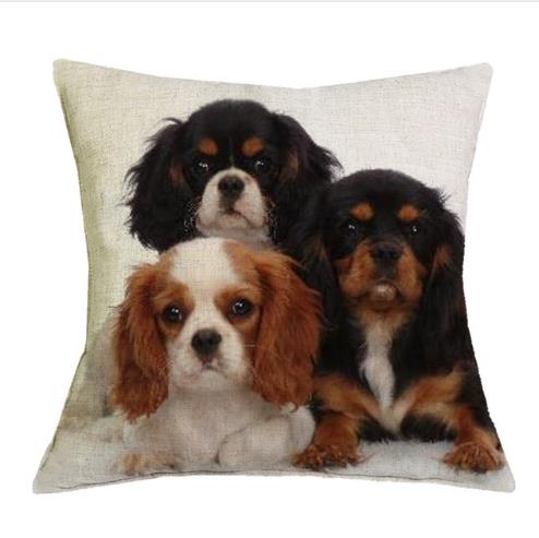Cavalier King Charles Spaniel 45X45Cm Pillowcase Bedroom Sofa Home Decor