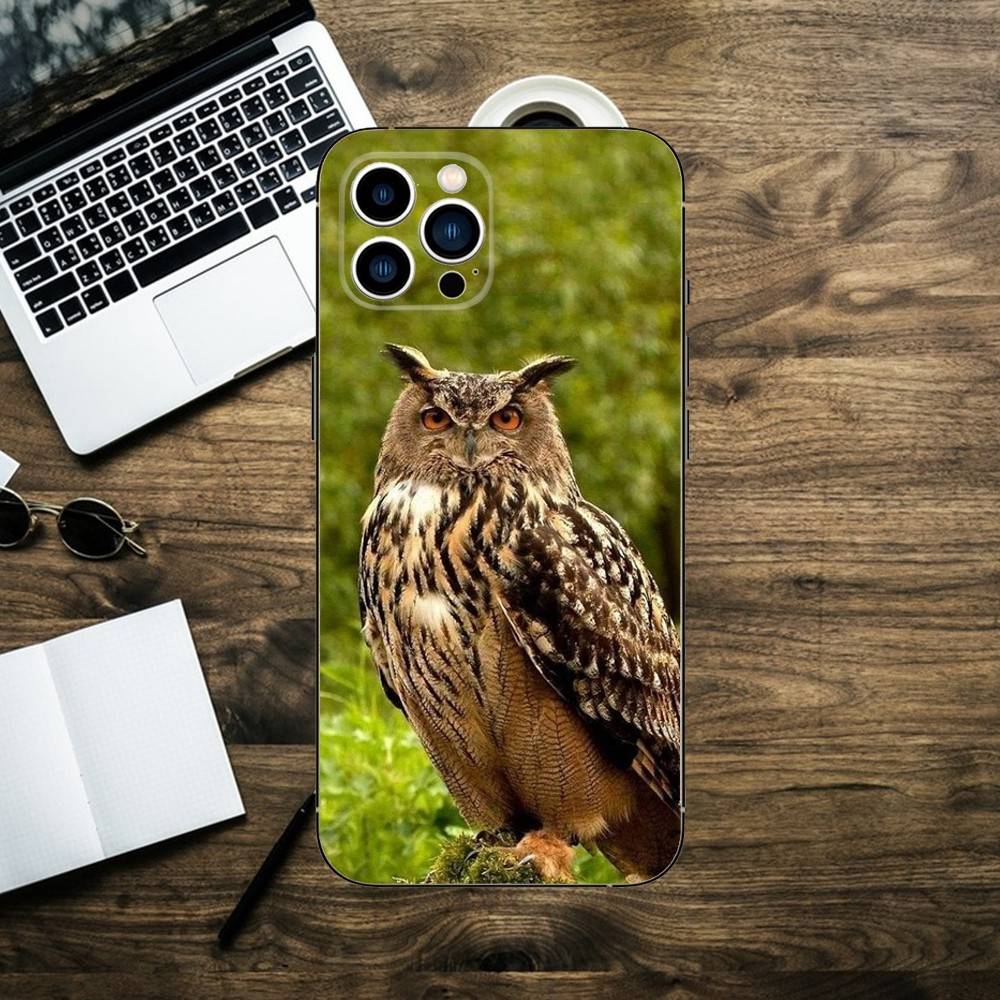 Bird Owl Cute Phone Case For iPhone 16,15,14,13,12,11,XS,XR,X,8,7,Pro,Max,Plus,mini Silicone Black Cover