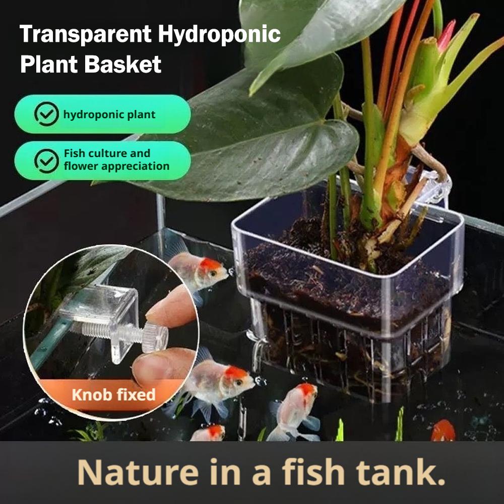Aquarienpflanzenhalter, Transparenter Hängetopf für Aquarienwasserpflanzenzucht und Aquascaping-Dekorationen Pflanzgefäße