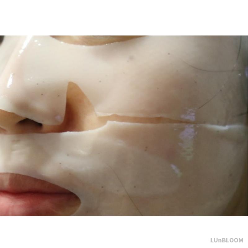 BIOHEAL BOH Probioderm Collagen Remodeling Serum Gel Mask 5+1 Sheets (+Free Gift)