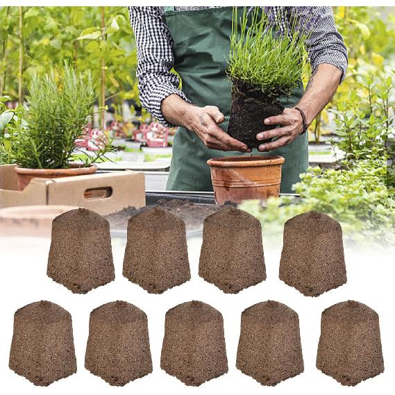 50 Pack Grow Sponges, Seed Pods Replacement Root Growth Sponges, Seed Starter Plugs Growth Plugs for Seed Starting, Hydroponic and Soil Applications