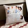 GGreys Anatomy Cushion Cover Reversible Soft Durable Pillow Cover Home  Car MultiScene Use for Daily Comfort