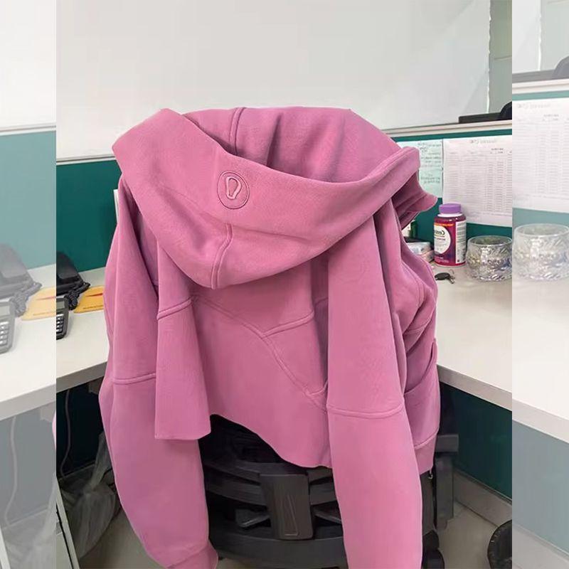 Retro Embroidery Design Hooded Sweatshirt for Women Petite Autumn Short Versatile Elegant Zipper Top