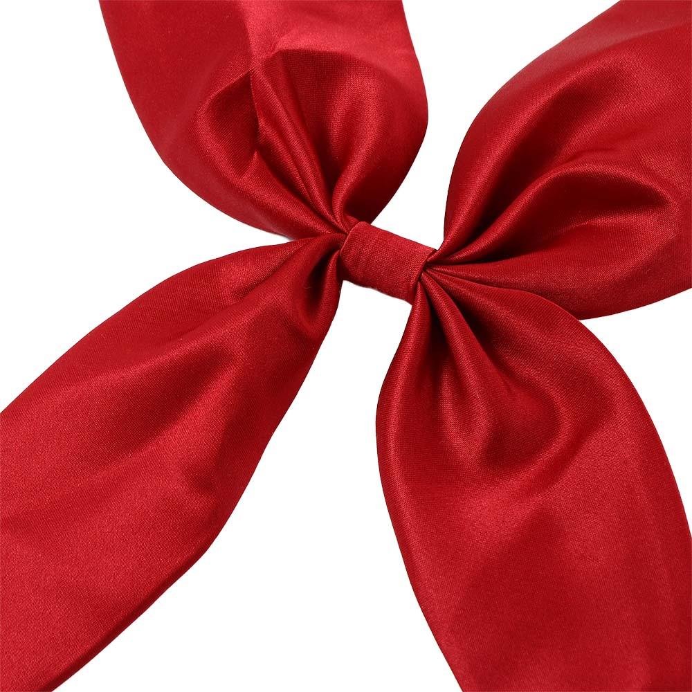 New Classic Shirt Accessory Uniform School Costume Neck Ties JK Bow Tie Ribbon Tie Satin Cravat