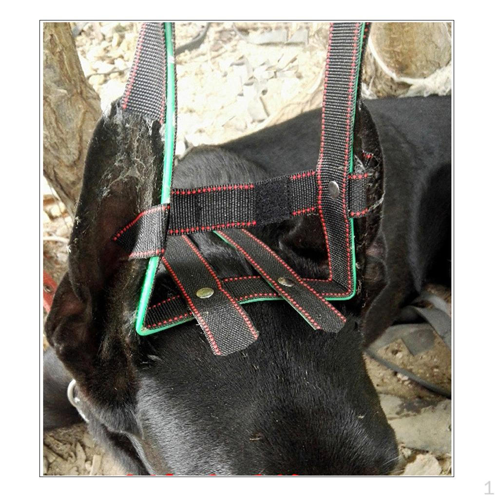 

Инструменты для ухода – нежная поддержка для всех пород и размеров M