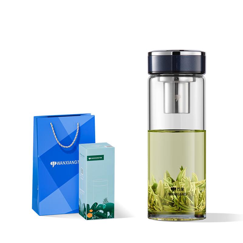 Portable Single-Layer Glass Tea Infuser Bottle