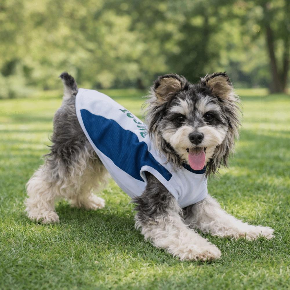 Super dehnweste für Hundesport Atmungsaktives Netz Farbblockiertes Haustier-T-Shirt Weiches Schnell trocknendes Kurzes Haustierhemd Outdoor-Aktivitäten