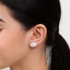 Orecchini a Bottone Minimalisti con Riccio - Argento Sterling 925
