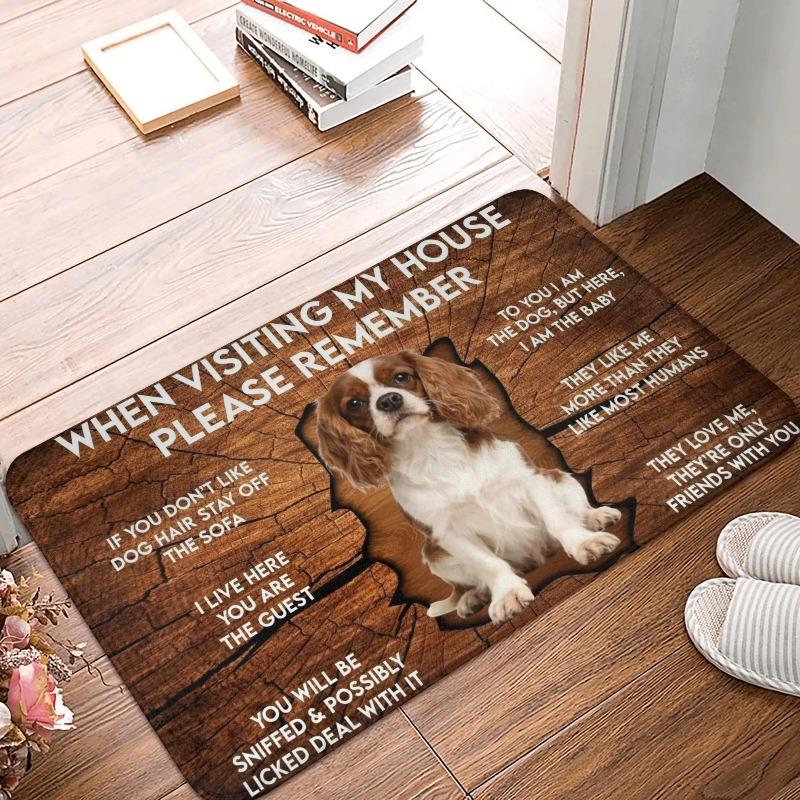 Corgi Themed Funny House Rules Living Room Door Mat Carpet Wood Texture Cute Corgi Pattern Humorous Visitor Notice Home Decor