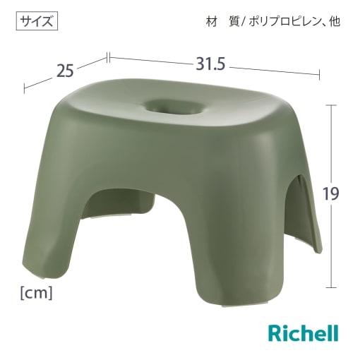 Richell Hayul Bath Stool, TL 20H, Green, 20cm, Made In Japan, Antibacterial, Bathroom Stool, Elevated, Caregiving, Mold-Resistant, Stylish, Magnetic,