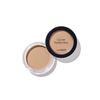 The Saem Cover Perfection Pot Concealer