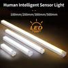 LED Motion Sensor Light Wireless Rechargeable Strip Night Light Magnetic Mount Smart Closet Cabinet Lighting