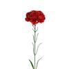 Floral Arrangement Artificial Carnation Home Decoration Long-lasting Enjoyment Natural Beauty Office Decoration