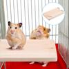 Small Pet Natural Wood Stand Platform Toy Rectangular Wooden Jumping Climbing Springboard Toy
