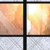 Thermal Window Cover For Winter No-Drill Roll-up Thermal Window Covering Drape For Apartment Dorm Bedroom Bathroom Rental House