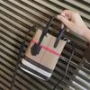 Women's 2025 New Lightweight Mini Messenger Bag - Trendy & High-End for Spring/Summer